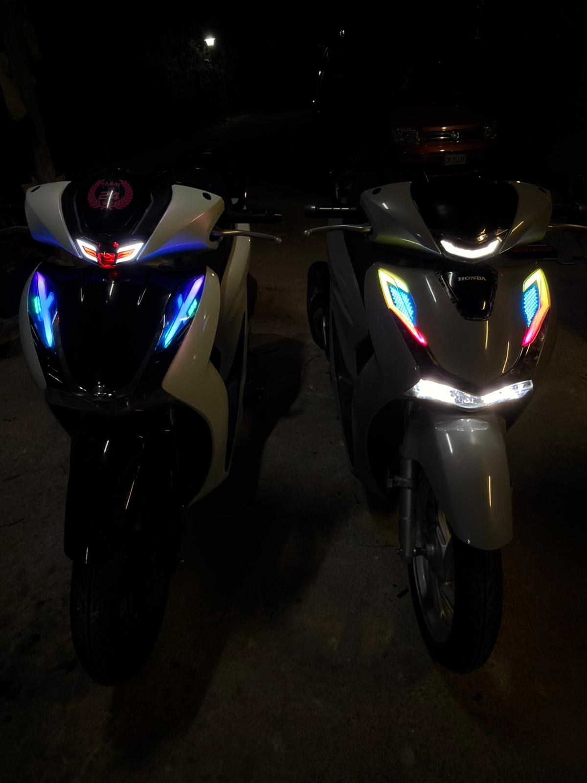 Frecce Honda SH 125/150/350 - 2020/2024 stile Thailandia "Nido d'api!"